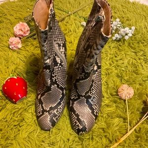 Snake Print Chunky Heel Boots by Steve Madden